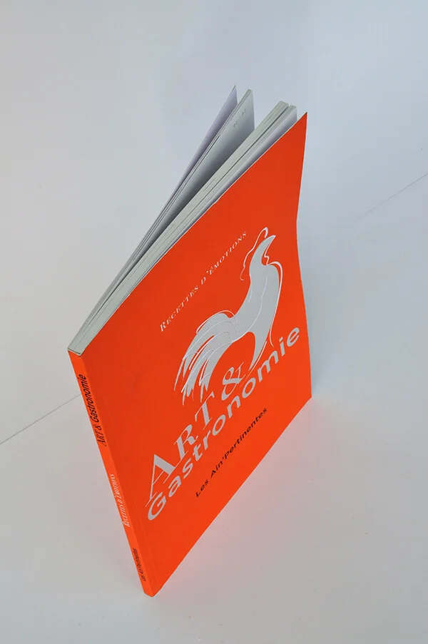 livre-dos-carre-colle-2